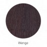 wenge x-faktor.jpg